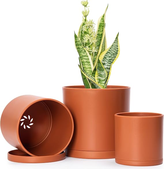 D'vine Dev 3-Pack Plastic Pots & Saucers, 4/5/6 in, Terracotta, 74-V-C-1