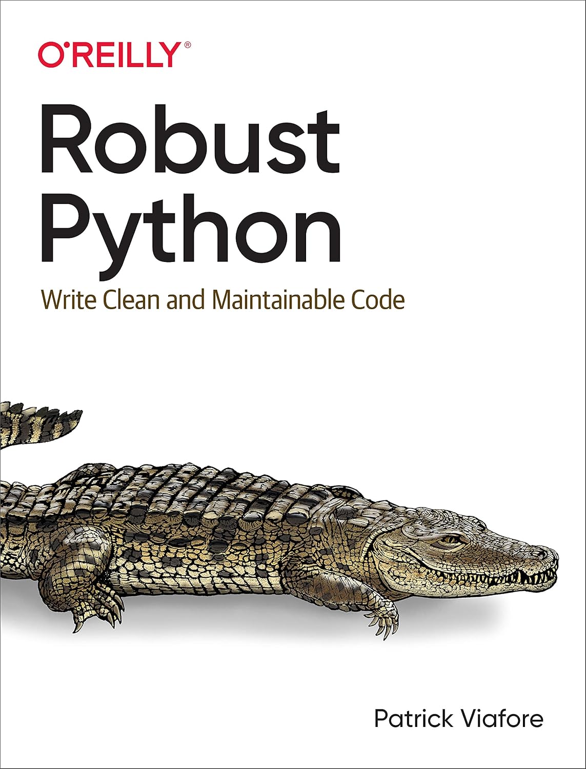 Robust Python: Write Clean and Maintainable Code 1st Edition