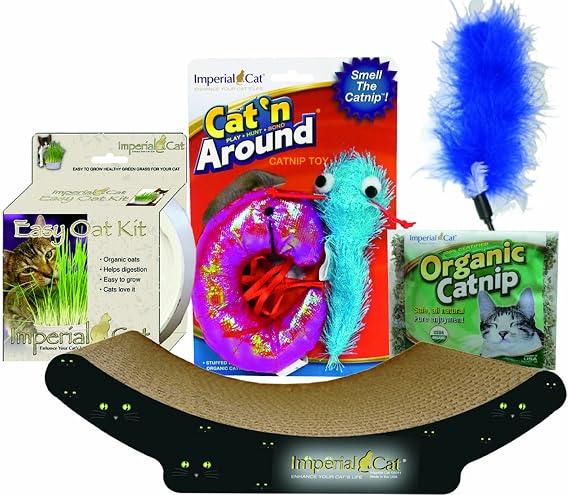 Kitten Kit Gift Set