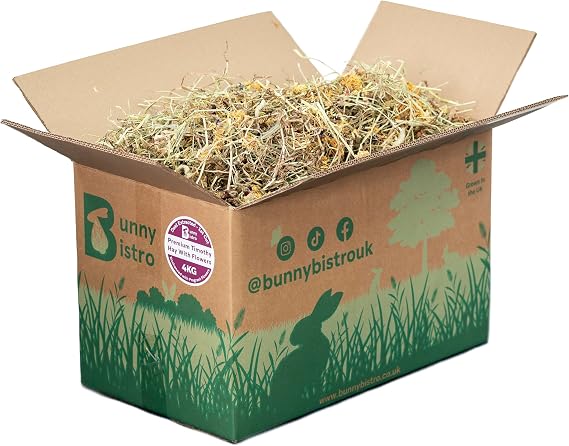 Bunny Bistro Premium Timothy Hay 1st Cut with Flowers 4kg Box | Natural UK Grown Feeding Hay for Rabbits, Guinea Pigs & Small Pets, High in Fibre, Dental Care, Dust Extracted Bedding, Eco-friendly