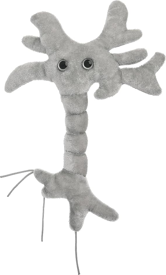 GIANT MICROBES Brain Cell Plush, Neuron Model Anatomy, Psychology Gifts
