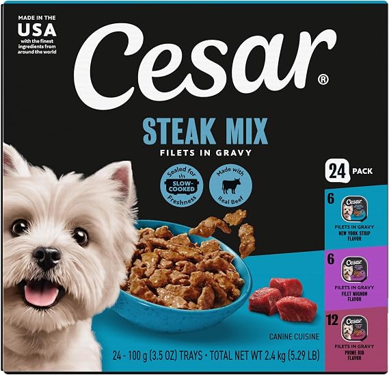 Cesar Filets in Gravy Wet Dog Food, Steak Mix Variety, 3.5 oz, 24 Count