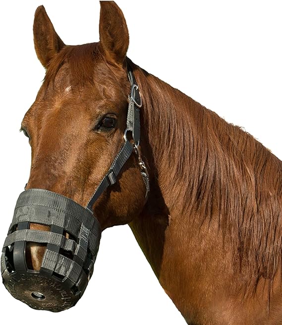 Best Friend Deluxe Leather Crown Grazing Muzzle - Horse Muzzle with Attached Halter, Adjustable, Breakaway, Lightweight, Ventilated, for Controlled Grazing - Dark Grey, Horse Size