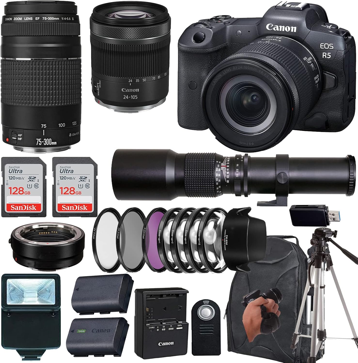 Canon EOS R5 Mirrorless Camera RF 24-105mm f4-7.1 is STM Lens EF 75-300mm III Lens500mm f8 Preset Telephoto Lenscase256Memory Cards 24PC