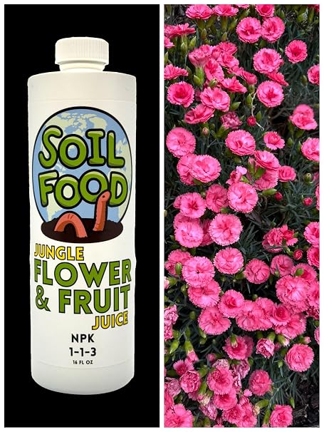Flower & Fruit Juice - NPK 1-1-3