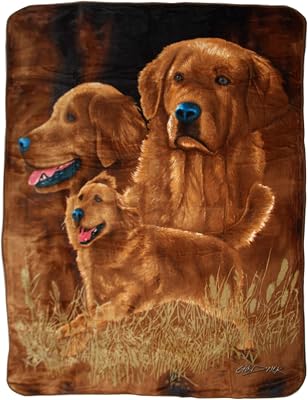 K2 3YA-2VL-CXV New Signature Collection Golden Retriever Korean Mink Blanket, Queen, Multicolor