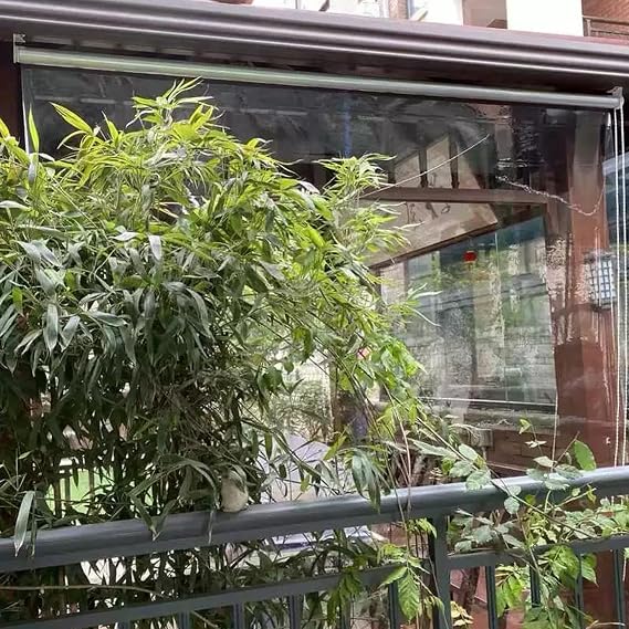 Clear Roller Blinds,Clear Roll Up Blinds,Transparent Roller Shades,Uv-Resistant Energy Saving Outdoor Vinyl Curtain,50-160cm Width Optional Window Blinds,for Exterior (W100xH120cm/W39 xH47)