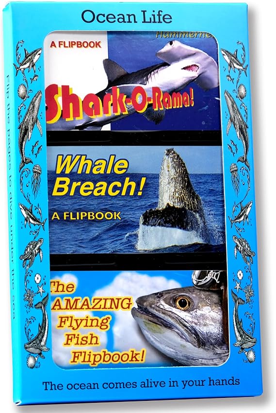 Ocean Life Flipbook 3-Pack for Kids 6-12, Animation Flip Books for Children