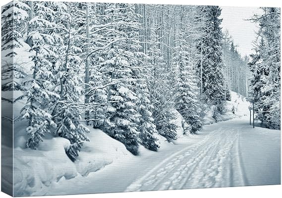 Canvas Prints Wall Art - Ski and Foot Prints Trought The Snowy Forest in Vail, Colorado - 24" x 36"
