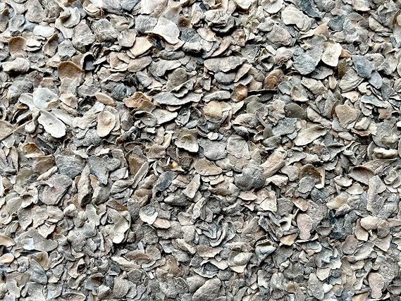 Bocce Ball Crushed Oyster Shell