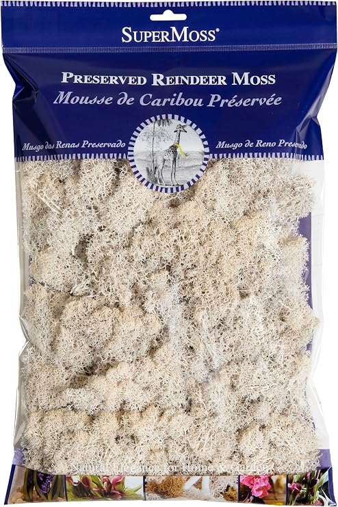SuperMoss (23193) Reindeer Moss Preserved, White, 8oz Bag