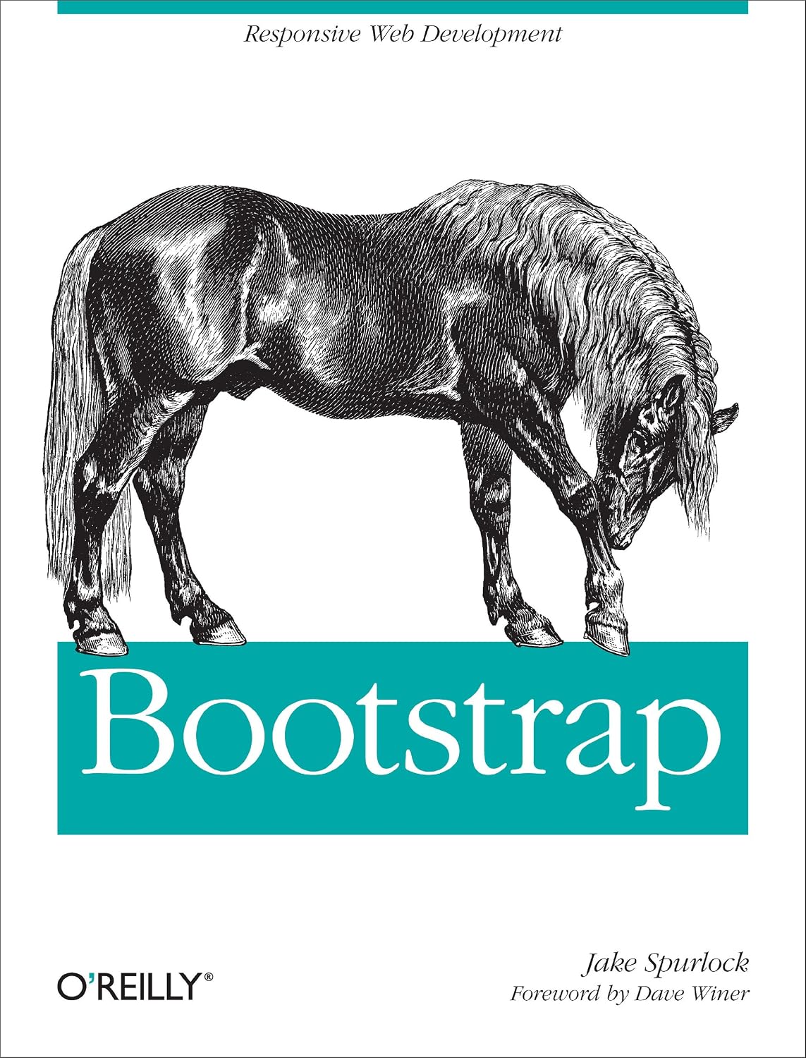 Bootstrap: Responsive Web Development 1st Edition