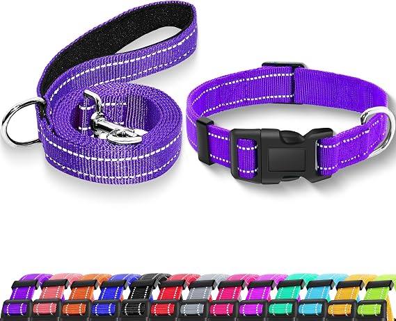 Reflective Dog Collar with Safety Locking Buckle (Collar+Leash) | Adjustable Soft Breathable Nylon Collars for Small, Medium and Large Dogs (S Width 3/4" Purple)