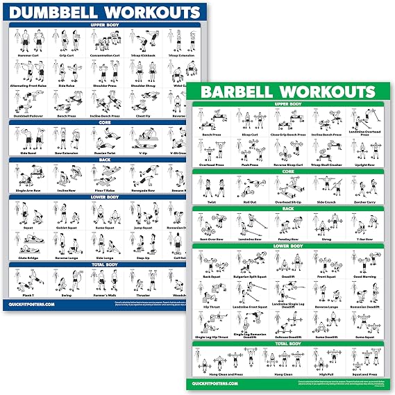 QUICKFIT Dumbbell Workouts and Barbell Exercise Poster Set - Laminated 2 Chart Set - Dumbbell Exercise Routine & Barbell Workouts (18" x 24")