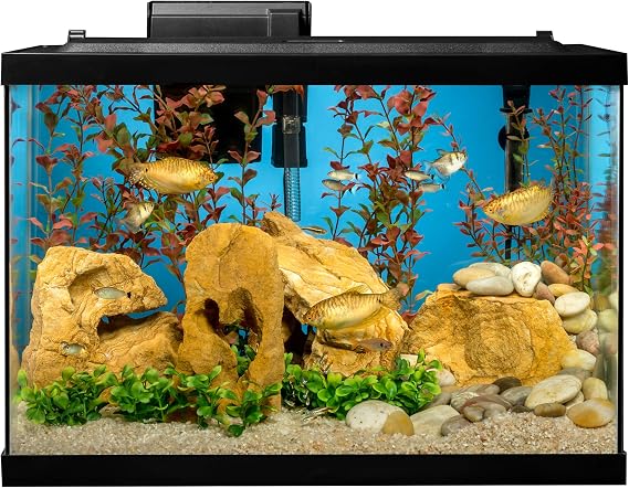 Tetra Aquarium Kit, 20 gallon, Standard