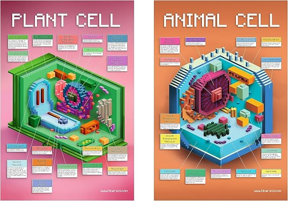 hBARSCI CellCraft Animal & Plant Cell Poster Set - 2 Video Game Cell Structure Charts - 24"x36" Each