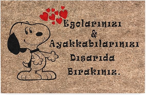 Monnhein Kedi Köpek Komik Tasarımlı Dekoratif Kapı önü Paspas, Dış Mekan/Ev İçi/Banyo/Mutfak/Yatak Odası/Giriş Paspasları (Snoopy, 40x60)