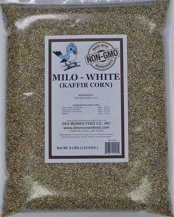 White Milo (Kaffir Corn) 8 lbs